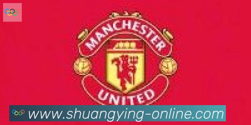 双赢彩票入口合作伙伴